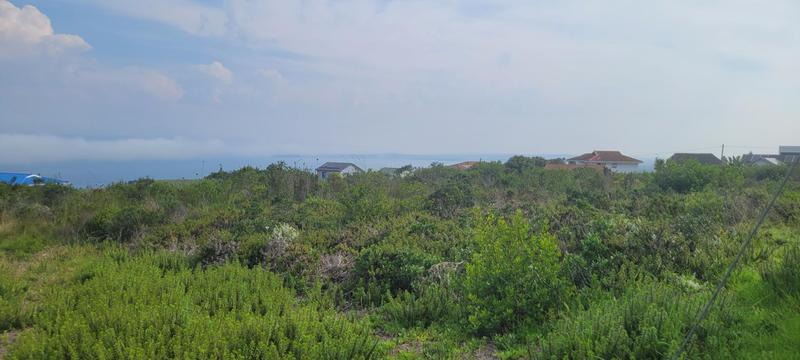0 Bedroom Property for Sale in Dana Bay Western Cape